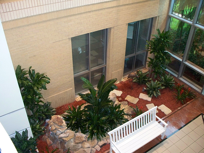 Atrium-Plants