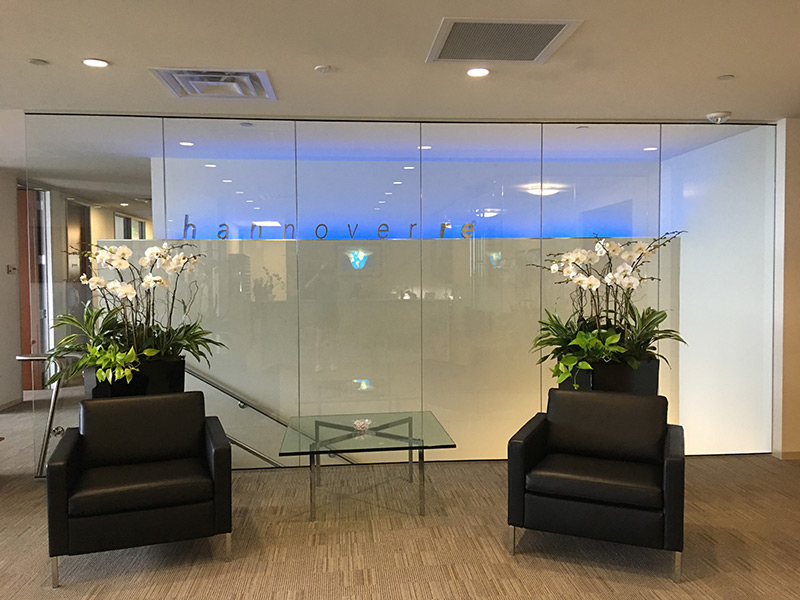 Phalanopsis-Orchids-with-Warneckii-and-Neon-Pothos