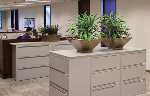 tier1-lowRec-m company plant service