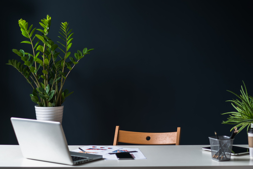 office plant leasing