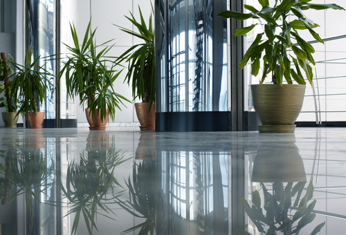 Plant Leasing Orlando
