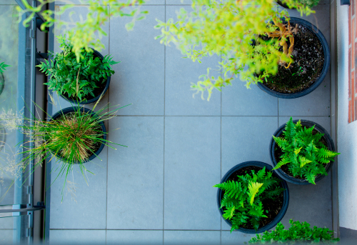 company plant service Orlando