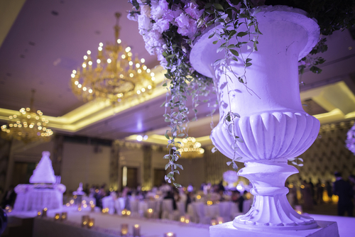 event plants and plant rental